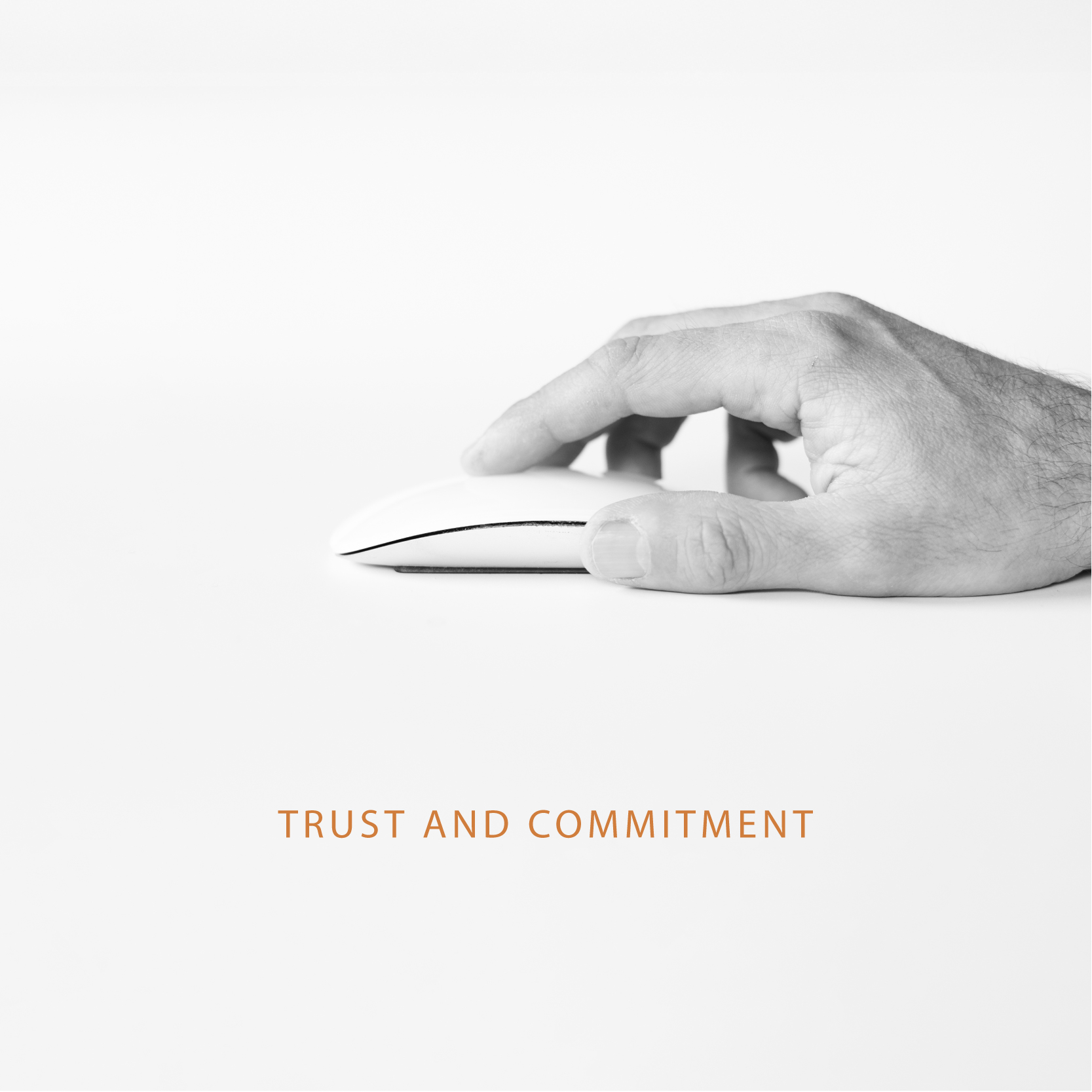 Jordán, Barahona y Asociados - Trust and commitment
